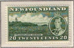 Newfoundland 240 - Unused, Never Hinged