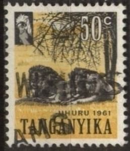 Tanganyika 50 (used) 50c Serengeti lions, sepia & yel (1961)