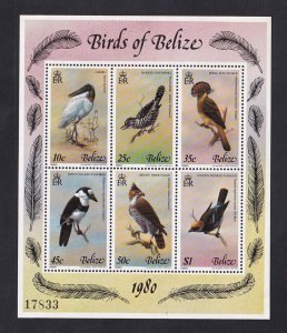 Belize   #500  MNH  1980  birds sheet of 6