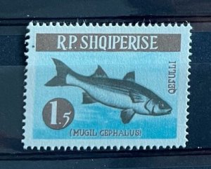 (578) ALBANIA 1964 : Sc# 718 STRIPED MULLET - MNH VF