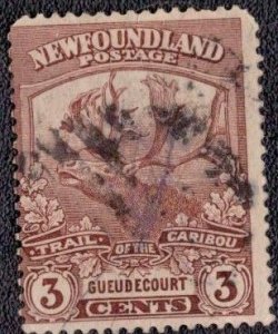 Canada Newfoundland - 117 1919 Used