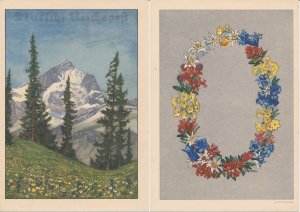Telegram Germany 1941 - Schmuckblatt Telegramme Mountains - Alpine meadow - Flo