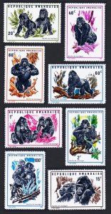 Rwanda Gorillas of the Mountains 8v 1970 MNH SC#359-366 SG#369-376