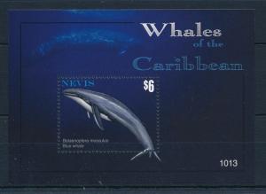 [34998] Nevis 2010 Marine Life Whale MNH Sheet