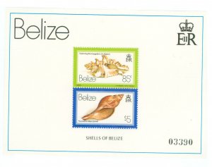 Belize #489 Mint (NH) Souvenir Sheet