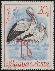 Hungary 1889 - Cto - 20f White Storks (1968)