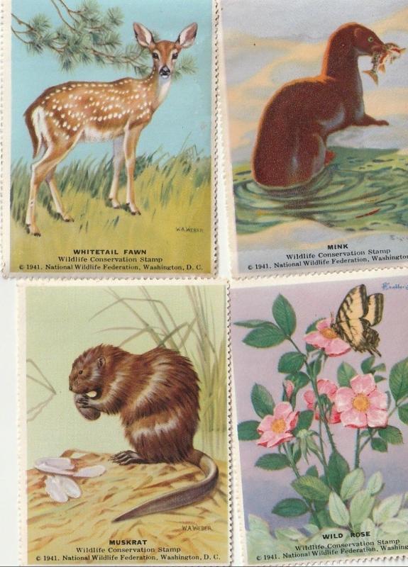 Great Muskrat, National Wildlife Federation, US Poster Stamps x 4. 1941