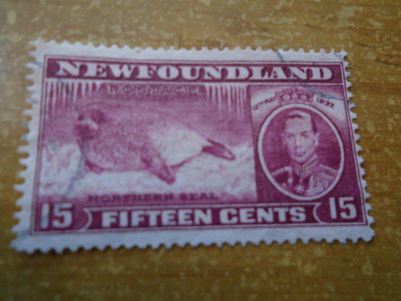 Newfoundland  # 239  used