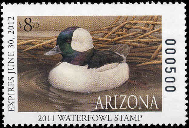 ARIZONA #27 2011 STATE DUCK BUFFLEHEAD  by Sherrie Russell Meline