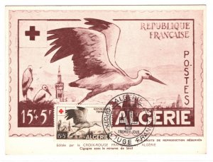 France Cols ALGERIA FDC Postcard *RED CROSS* MAXI CARD 1957 Algiers Stork KA739