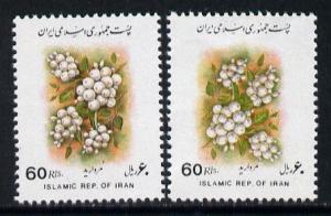 Iran 1993 Viburum Berries 60r definitive with frame (Coun...