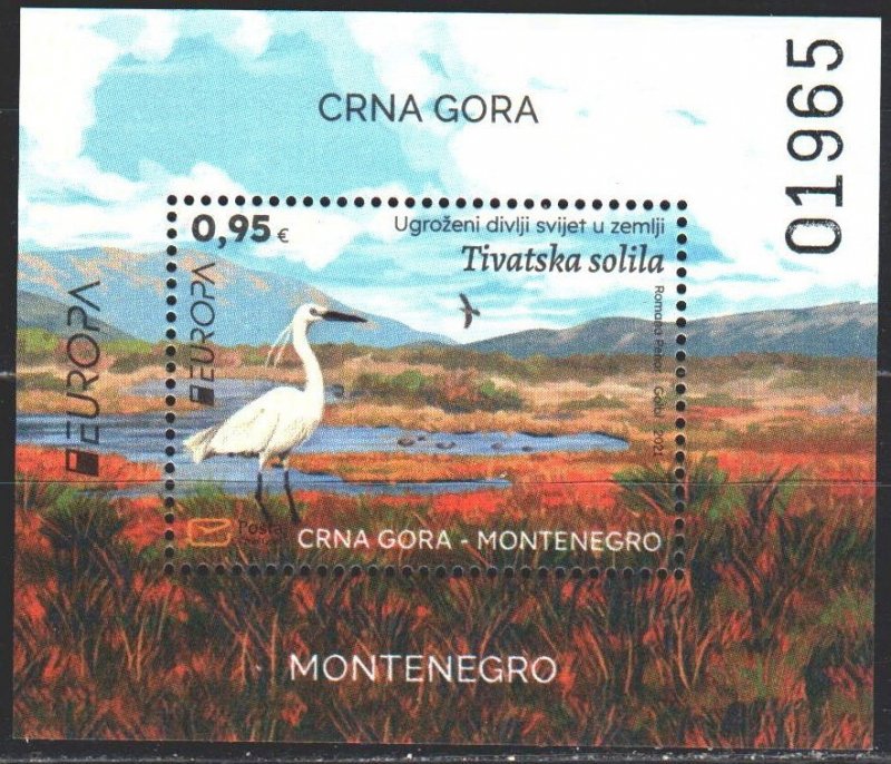 Montenegro. 2021. bl 27. Birds, fauna, europe-sept. MNH.