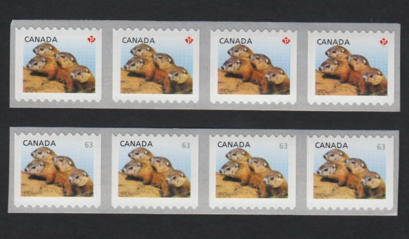 P & 63c WOODCHUCKS LARGE COIL 2 Strips of 4 sts Canada 2013, #2603, 2692A