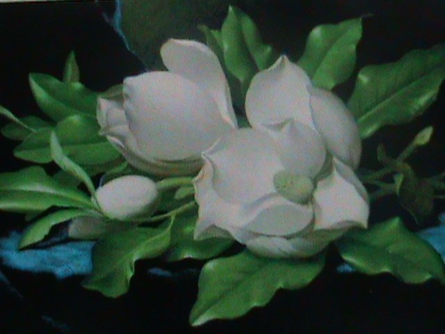 ​UNITED STATES-2004-SC# 3872a  LOVELY BEAUTIFUL MAGNOLIAS FLOWERS MNH BOOKLET