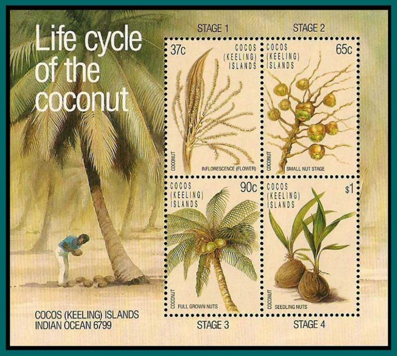 Cocos 1988 Coconut Life Cycle, MS MNH 176a,SGMS184