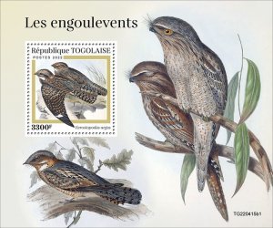 TOGO - 2022 - Nightjars - Perf Souv Sheet #1 - Mint Never Hinged