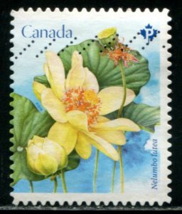 3091 Canada P Lotus Flowers SA, used