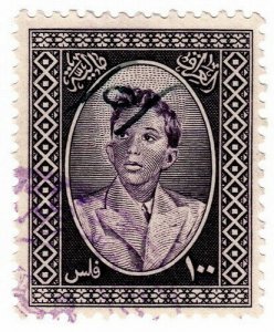 (I.B) Iraq Revenue : Duty Stamp 100f (King Faisal II)