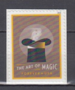 (G) USA #5306a The Art of Magic  Single from S/S MNH