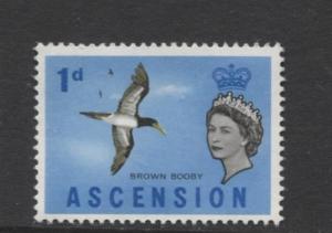 ASCENSION- Scott 75 - Bird - Brown Booby -1963 - MNH - Single 1d Stamp