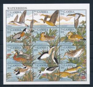 [31876] Gambia 1995 Birds Vögel Oiseaux Ucelli   MNH Sheet