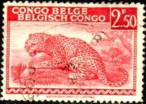 Leopard, Belgian Congo stamp SC#200 Used