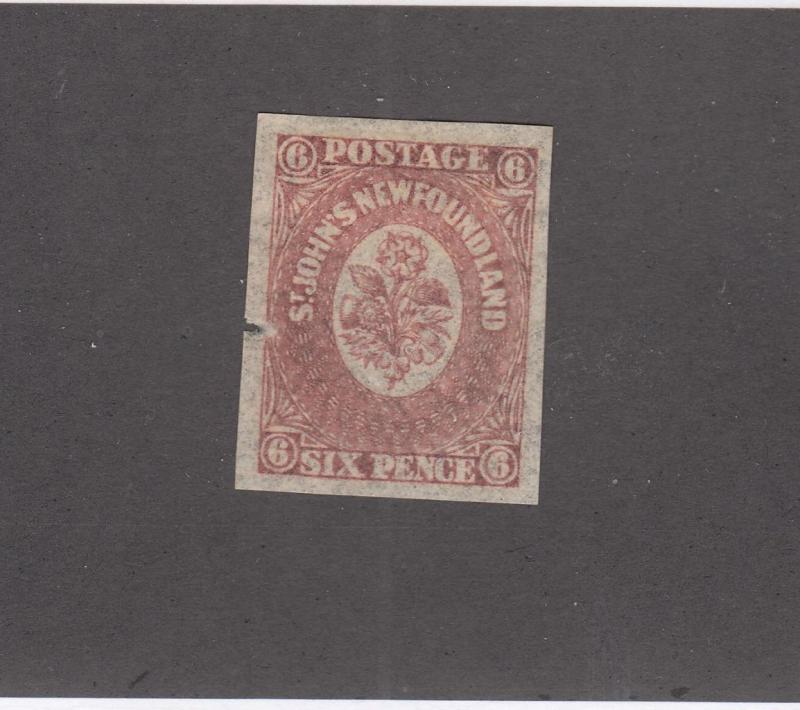 NEWFOUNDLAND # 20 VF-MLH 6p ROSE(Tiny tear in margin) CAT VALUE $30