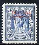 Jordan Occupation of Palestine 1948 Emir 20m blue fine un...