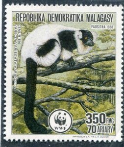 Malagasy 1998 WWF PRIMATE LEMUR 1 value Perforated Mint (NH) Scott#836