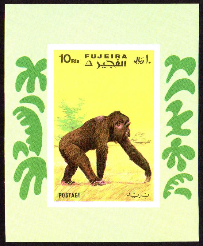 Fujeira Mi Block 80B (#791) mnh - 1971 monkey chimpanzee - imperf souvenir sheet