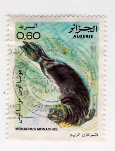 Algeria       672          used