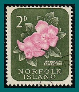 Norfolk Island 1960 Lagunaria Flower, used  #30,SG25