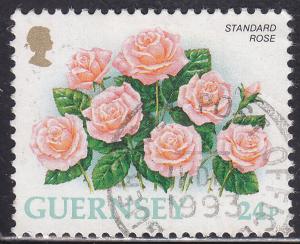 Guernsey 489 Standard Rose 1993