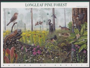 3611 Longleaf Pine Forest MNH
