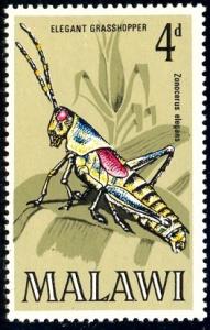 Insect, Elegant Grasshopper, Malawi stamp SC#127 MNH