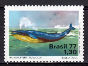 Brazil 1977 Sc# 1510 BLUE WHALE MARINE LIFE Single MNH