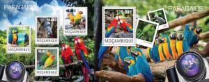 MOZ14417ab Mozambique 2014 parrots birds Papageien perroquets MNH SET **