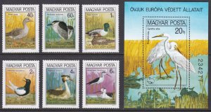 Hungary, Fauna, Birds MNH / 1980