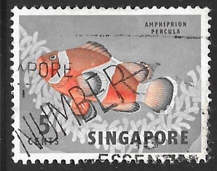 Singapore 55: 5c Percula Clownfish (Amphiprion percula), used, F-VF