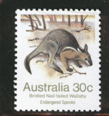 AUSTRALIA Scott 791 MNH** 1981 30c Endangered Wallaby stamp