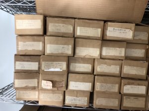 WW, BRITISH COLONIES, 81 Long Boxes Enormous Accumulation of Stamps, 300k +