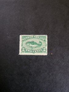 Stamps Newfoundland Scott #46 hinged