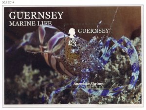 Guernsey 2014 Marine Life Mini Sheet SG1524 Unmounted Mint