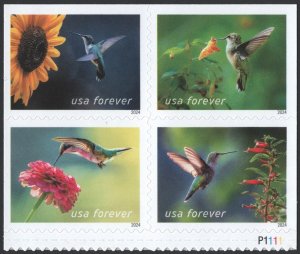 NEW ISSUE (Forever) Garden Delights Booklet Block of Four (2024) SA
