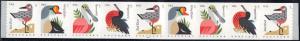 #4995-98, \Coastal Birds\ PNC-9, MNH. Postcard Rate