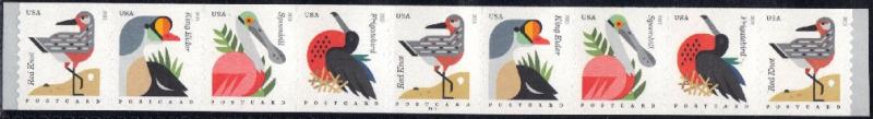 #4995-98, \Coastal Birds\ PNC-9, MNH. Postcard Rate