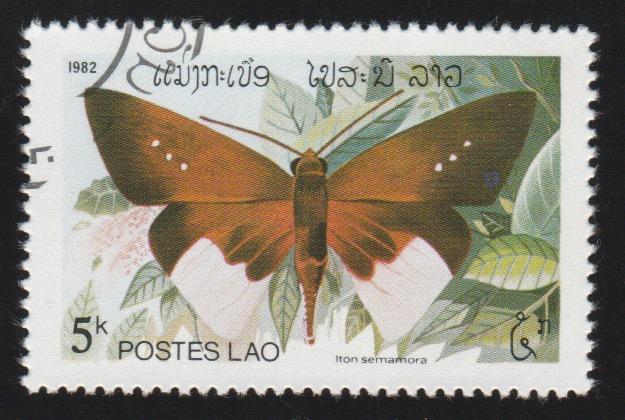 390 butterfly