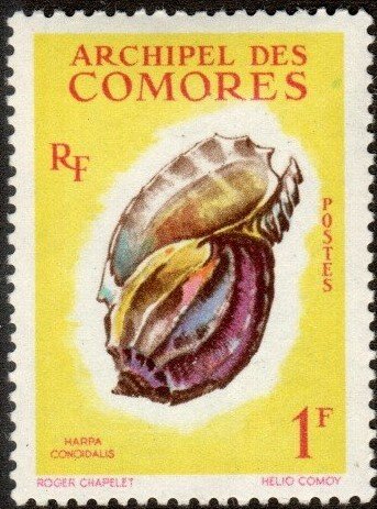 Comoro Islands 49 - Mint-H - 1fr Large Harp Shell (1962) (cv $1.00)