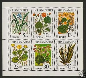 Bulgaria 3305a MNH Marine Flowers