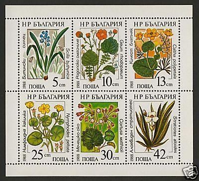 Bulgaria 3305a MNH Marine Flowers